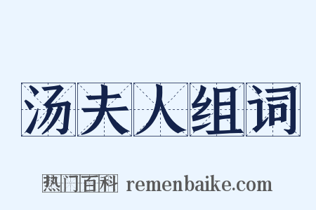 汤夫人组词是什么意思的图片